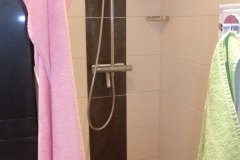 DSCF8620